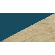 Stalas elektrinis reguliuojamas JobTisch 900x660mm, LINOLEUM