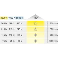 Šviestuvas LED2047, 12V, 3W, šilta balta šviesa 3000K, juoda