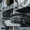 Wire basket Norscan, W500mm, H150mm, Ø500mm, white