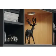 Recess/surface mounted downlight, Häfele Loox LED 2047 12V drill hole Ø55mm