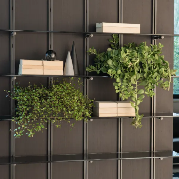 Laikiklis lentynos Pin Shelf titanium
