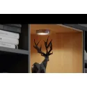 Šviestuvas LED2047, 12V, 3W, šilta balta šviesa 3000K, matinis chromas, Loox5