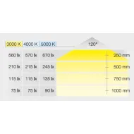 Šviestuvas LED2047, 12V, 3W, šilta balta šviesa 3000K, matinis chromas, Loox5