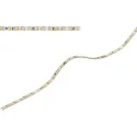 LED strip light, Häfele Loox5 LED 2061 12V 5mm 2-pin (monochrome), 120 LEDs/m, 9.6W/m, IP20