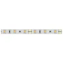 Juosta LED2062 L50m, 8mm, 12V 4,8W/m natūrali balta šviesa 4000K Loox5