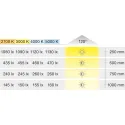 LED strip light, Häfele Loox5 LED 2062 12V 8mm 2-pin (monochrome), 60 LEDs/m, 4.8W/m, IP20