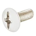 Varžtas M6x20mm,