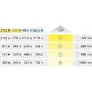 LED strip light, Häfele Loox5 LED 2068 12V 8mm 2-pin (monochrome), 120 LEDs/m, 9.6W/m, IP20
