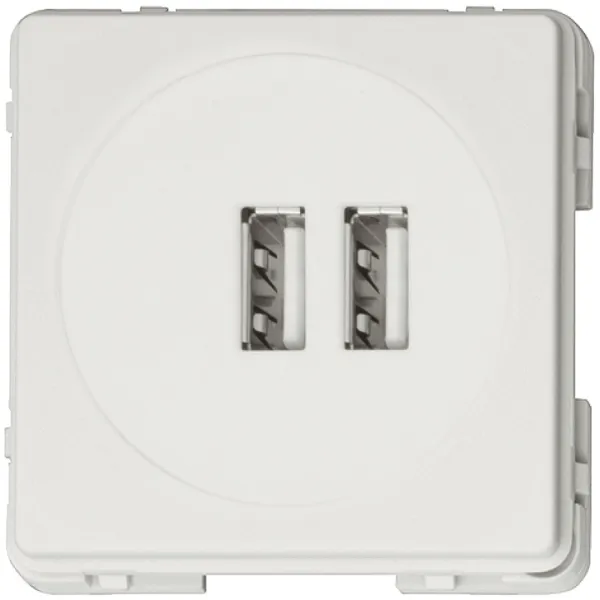 USB charging station, Module, 2 sockets, 230V