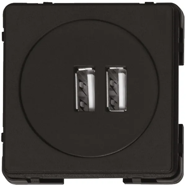 USB charging station, Module, 2 sockets, 230V