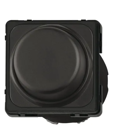 Switch, With 2-core cable