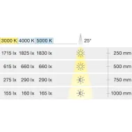 Šviestuvas LED3095 24V 1,4W H400mm, pilka 5000K Loox5