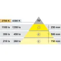 Šviestuvas LED1111 12V 3W natūrali balta šviesa 43K nerūdijančio plieno spalva