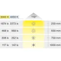Šviestuvas LED3023 24V 4,8W matinis chromas, natūrali balta šviesa 4000K
