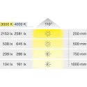 Surface mounted downlight, Häfele Loox LED 3025 24V