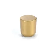 Knob Ø25mm MINI matt gold