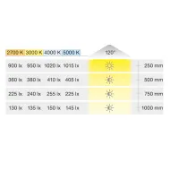 COB silicone LED strip light LED3084 Loox5, 24V, monochrome, 9.6W/m, warm white 3000K, 6.5x6mm