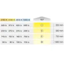 Juosta COB LED3103 Loox5, 24V, 8mm, monochromatinė, 4,8W/m, natūrali balta šviesa 4000K, 5m