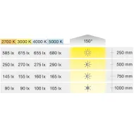 Juosta COB LED3103 Loox5, 24V, 8mm, monochromatinė, 4,8W/m, natūrali balta šviesa 4000K, 5m