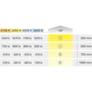 COB LED strip light LED3105 Loox5, 24V, 8mm, monochrome, 14.4W/m, natural white 4000K, 5m