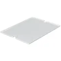 Tray insert, for hanging basket