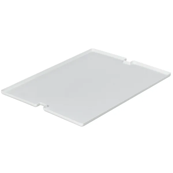 Tray insert, for hanging basket