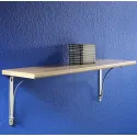 Laikiklis lentynai DANNI 230x180mm, 25kg aliuminis