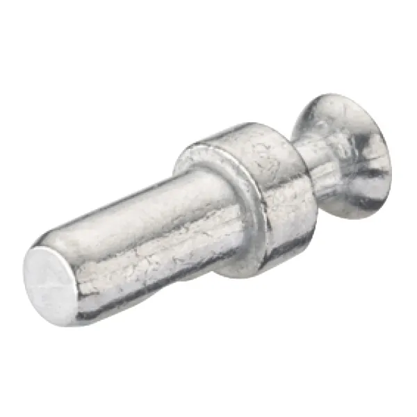 Varžtas RAFIX be sriegio Ø5x20mm,