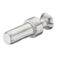 Varžtas RAFIX be sriegio Ø5x20mm,