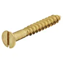 Medvaržtis 3,5x16mm, žalvaris