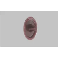 Cover cap for wood screw Ø12mm beech