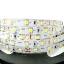 Strip LED2835 L5000mm 12V 6W/m natural white 4000K