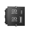 Dangtelis CM tuščiam moduliui su USB-A&C krovikliais, juodas, laidas L200mm, su GST18 kištuku