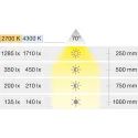 Šviestuvas LED1154 12V 3W natūrali balta šviesa 4300K, tamsiai pilka metalo spalva