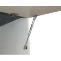 Gas-filled strut, for wooden flaps or flaps with aluminium frame