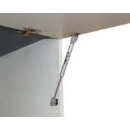 Gas-filled strut, for wooden flaps or flaps with aluminium frame